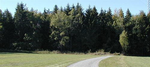 Hotel Am Bad-Wald Bad Liebenzell Exterior photo